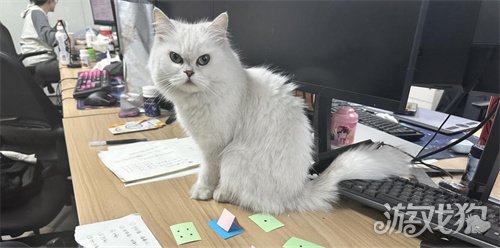 Ρרйң ͳ  AI 罻³ ײУԴ½罻Ϸ